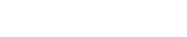 CyberSigma Consulting Services
